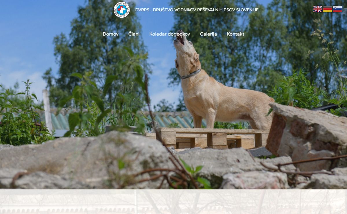 DVRPS – Društvo vodnikov reševalnih psov Slovenije