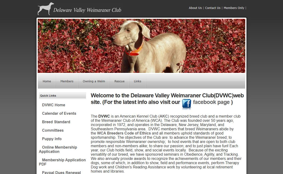 DVWC - Delaware Valley Weimaraner Club