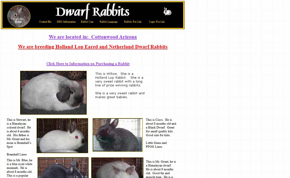 C&H Rabbit Rasin'  Netherland Dwarf & Holland Lop Eared Rabbits in Arizona.