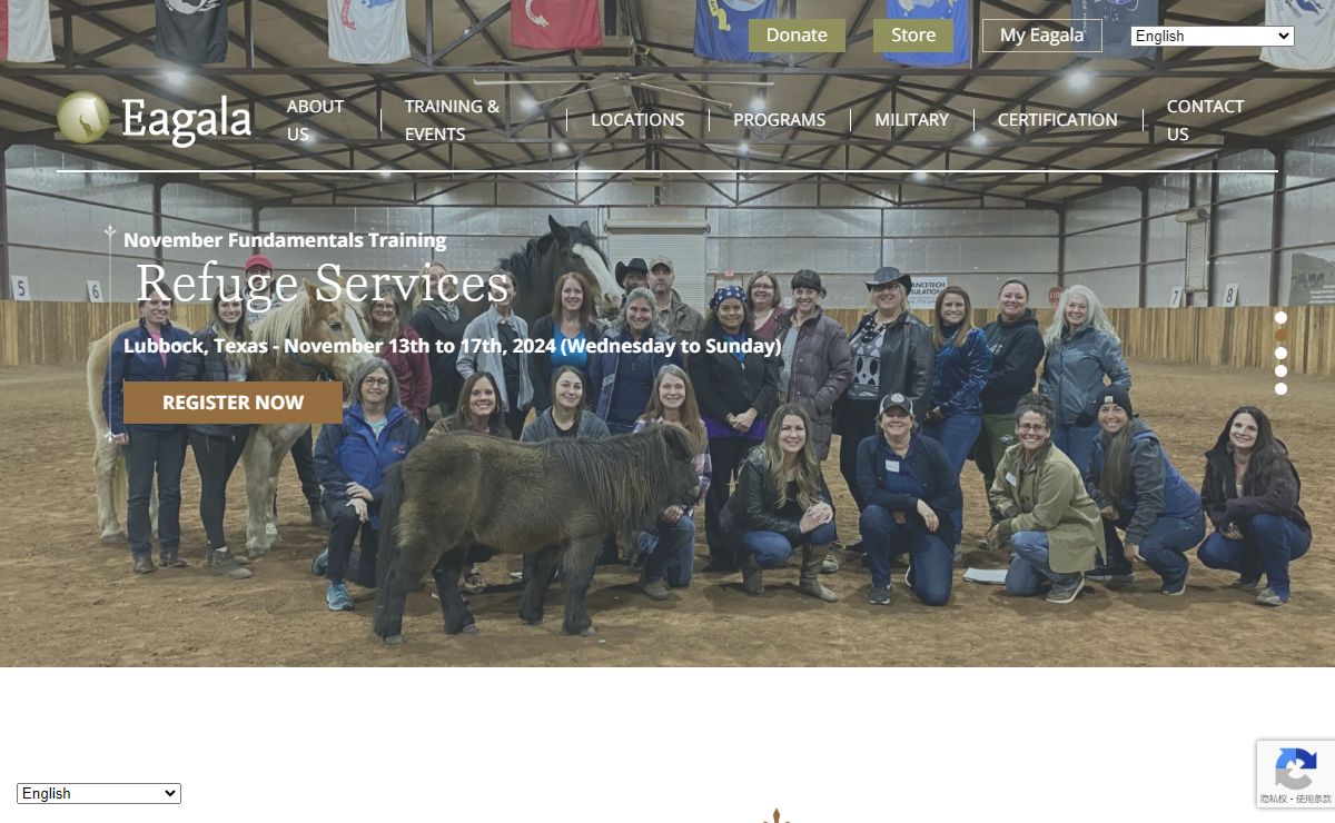 Equine-Assisted Psychotherapy - Eagala