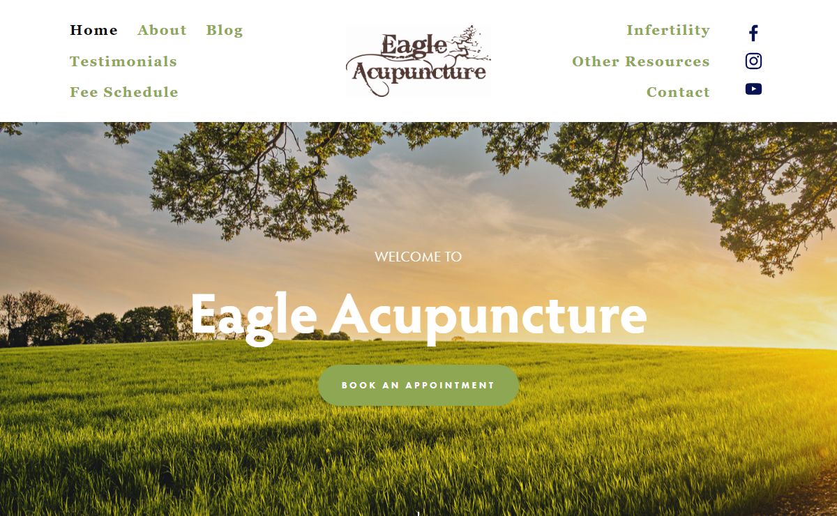Eagle Acupuncture | Idaho's Best Wellness Experts