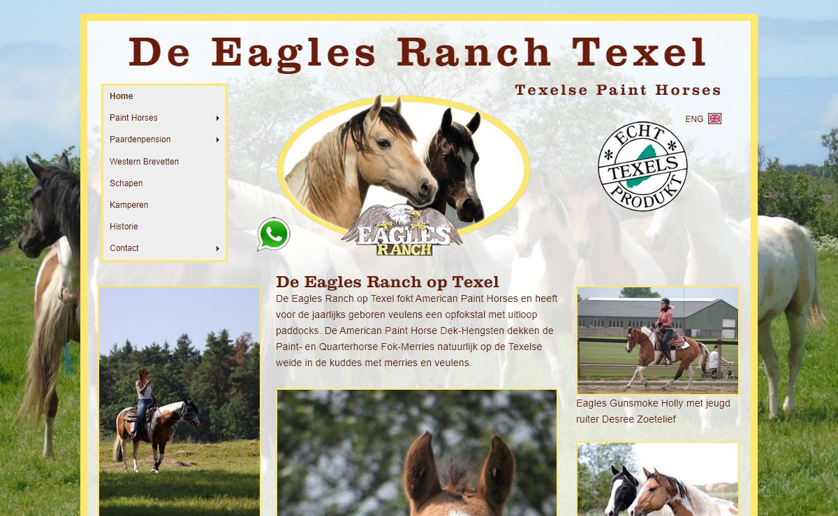 De Eagles Ranch op Texel | Texelse Paint Horse fokkerij