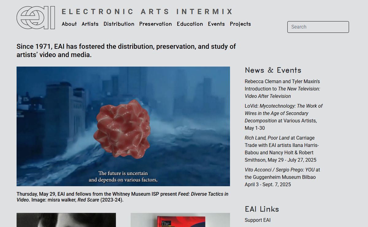 Electronic Arts Intermix