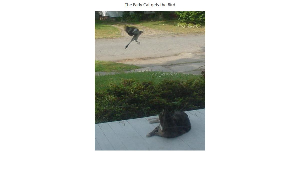 The Early Cat gets the Bird