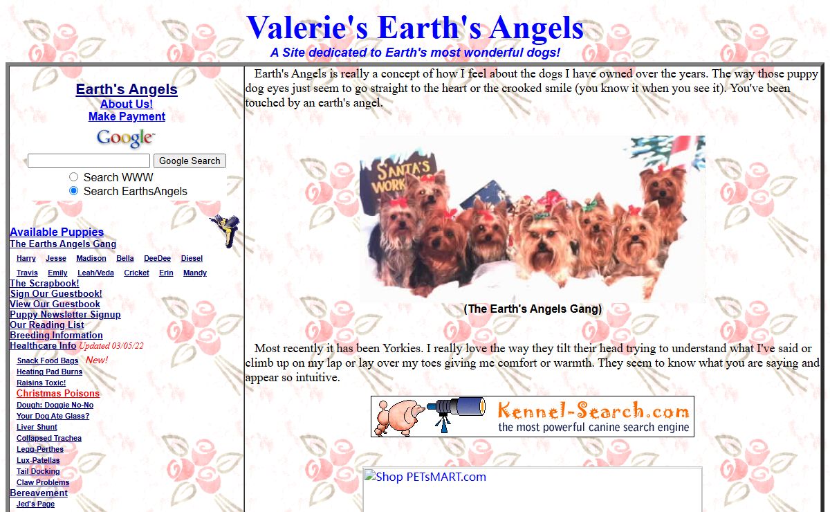 Valerie's Earth Angels - Yorkshire Terriers