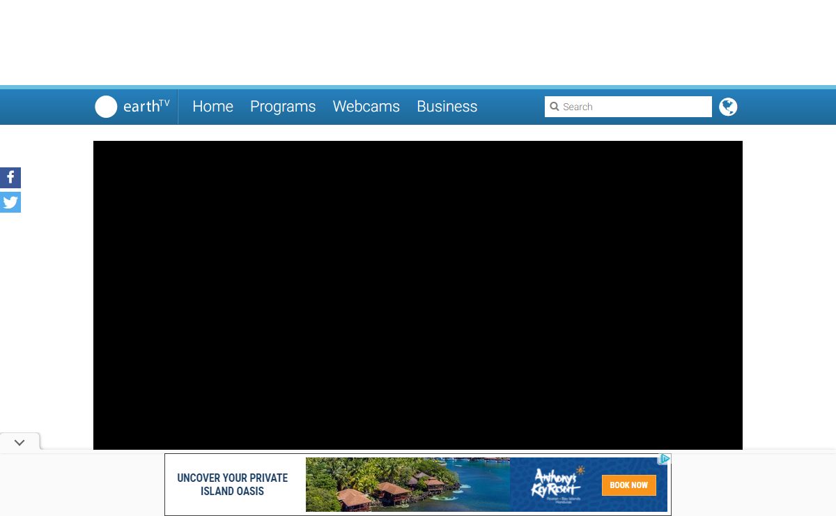 Inspired by the world live with webcams and programs | earthTV