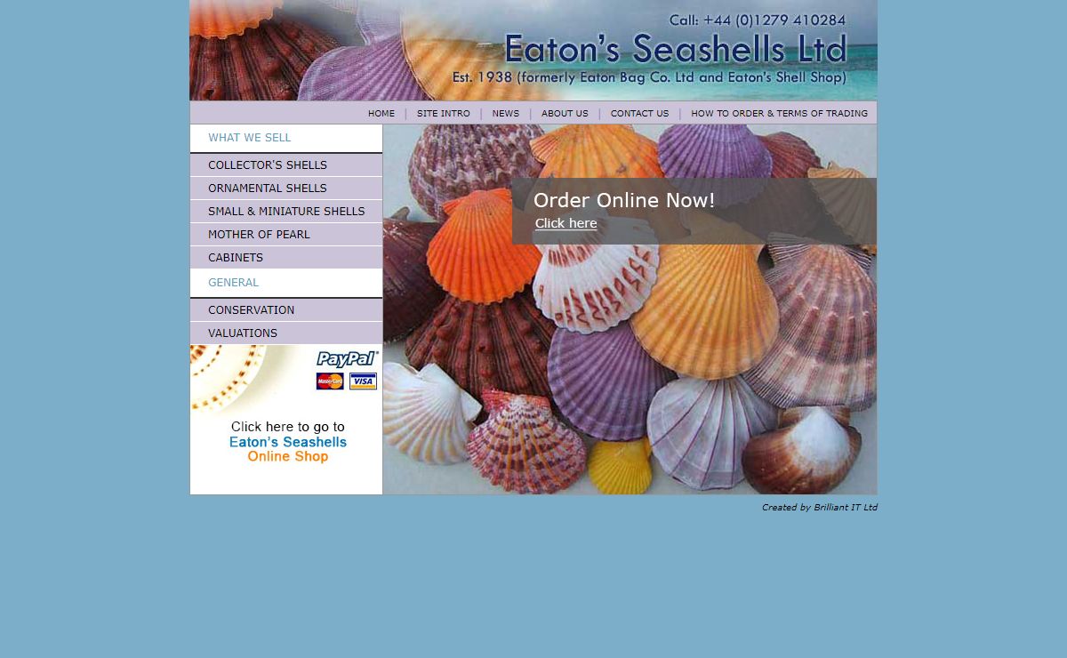 Eaton's Seashells Ltd - Welcome