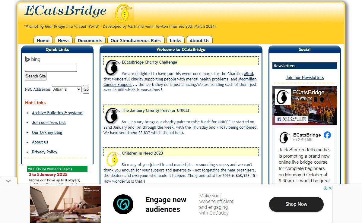ECatsBridge - Promoting Real Bridge in a Virtual World