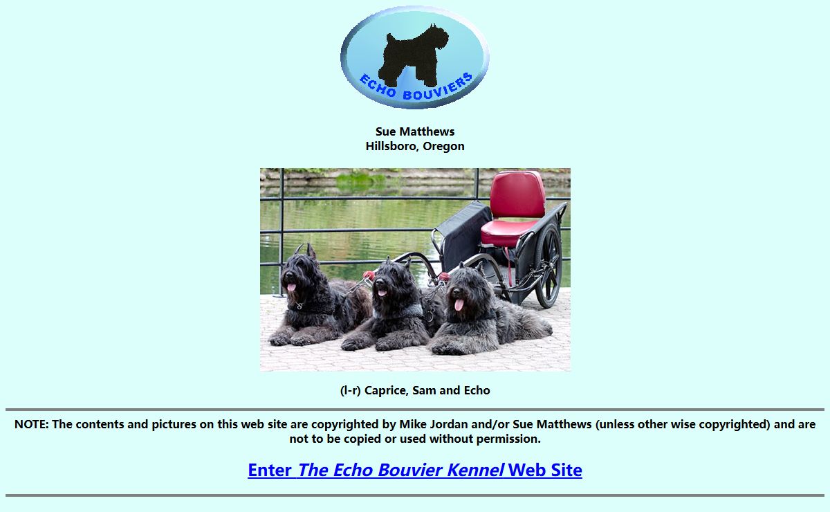 ECHO BOUVIERS DES FLANDRES