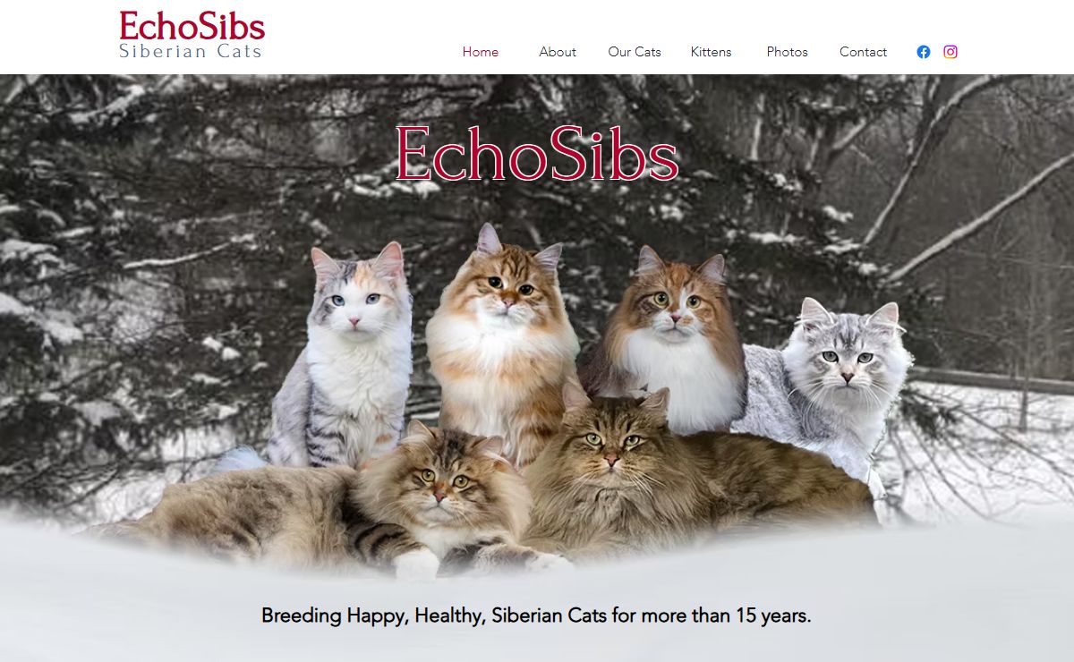 EchoSibs Siberian Cats