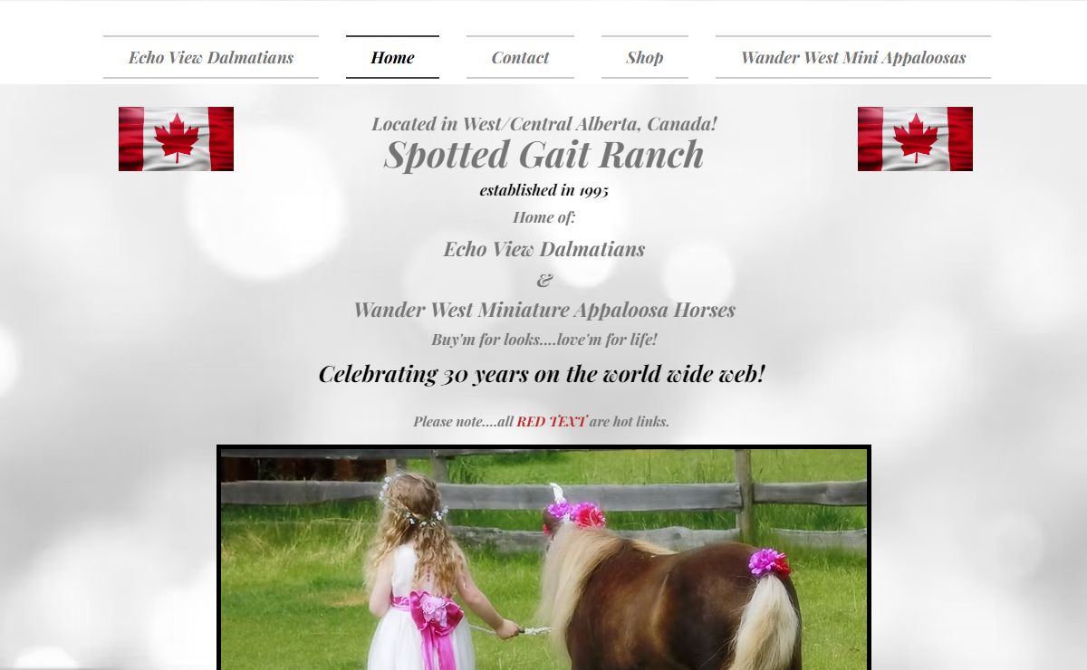 Dalmatians | Spotted Gait Ranch