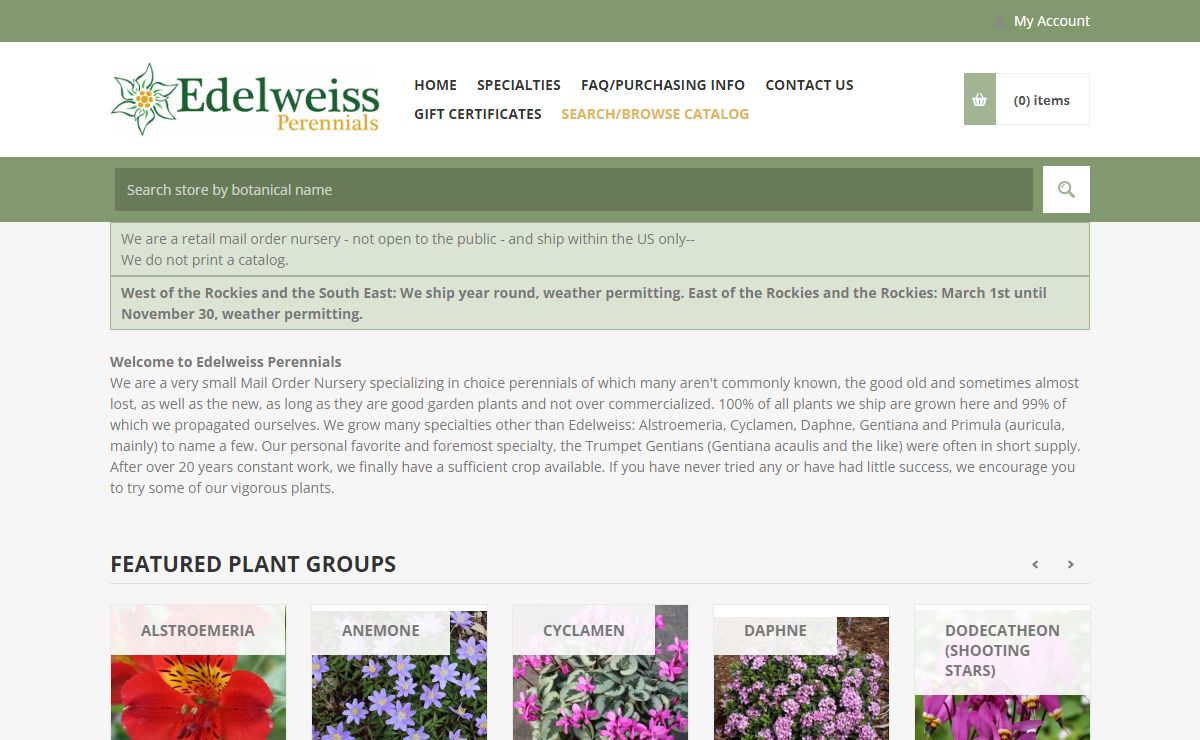 Edelweiss Perennials