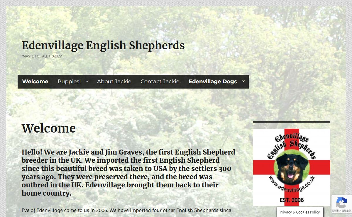 Edenvillage English Shepherds – "Master of All Trades"