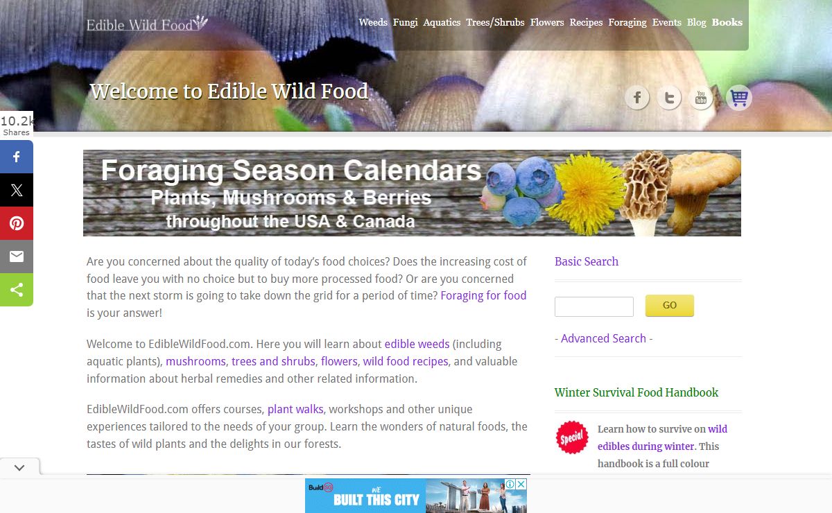 Edible Wild Food, Recipes | Weeds, Fungi, Flowers & Foraging