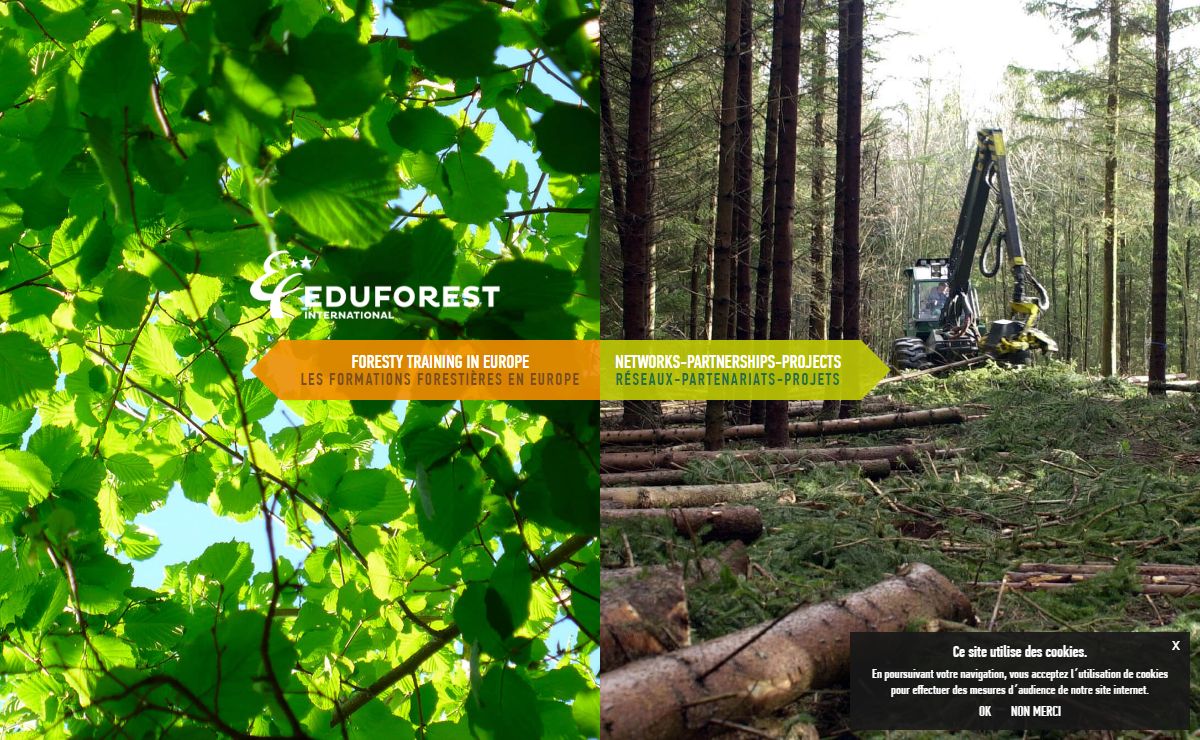 EDUFOREST - Training and qualification for sustainable forest management - Formation et qualification pour la gestion durable des forêts