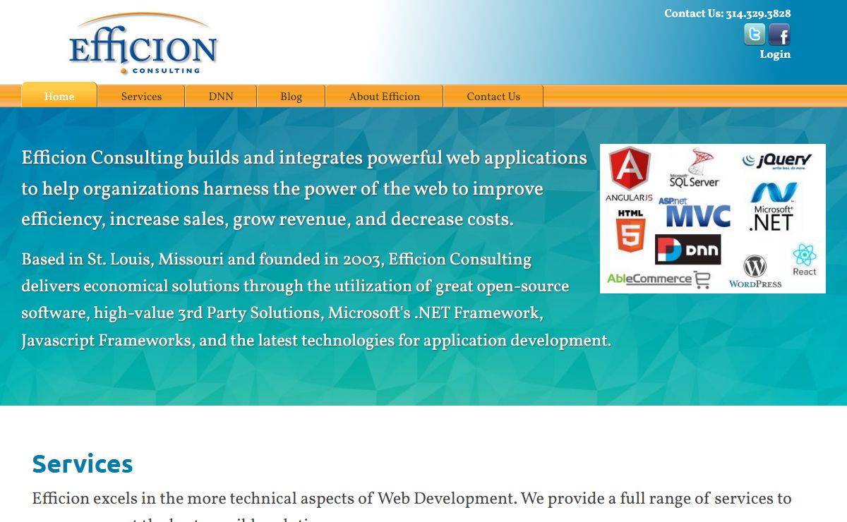 Efficion Consulting- Website Application Developer in St. Louis
