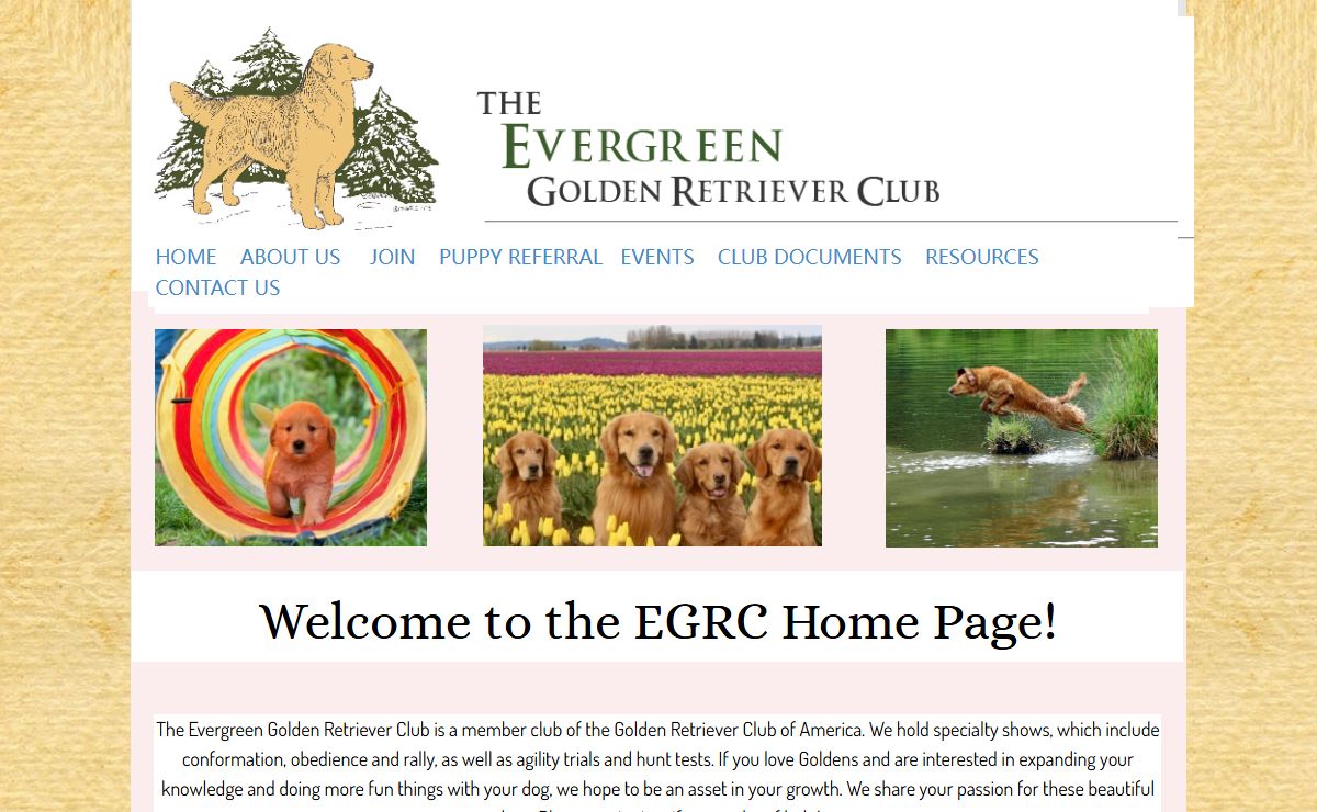 The home page of the Evergreen Golden Retriever Club.