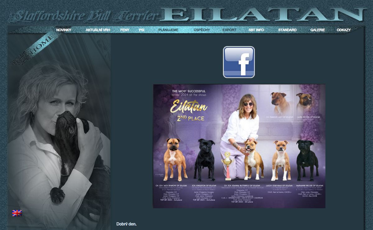 Eilatan-Staffordšírský bulteriér::Staffordshire Bull Terrier