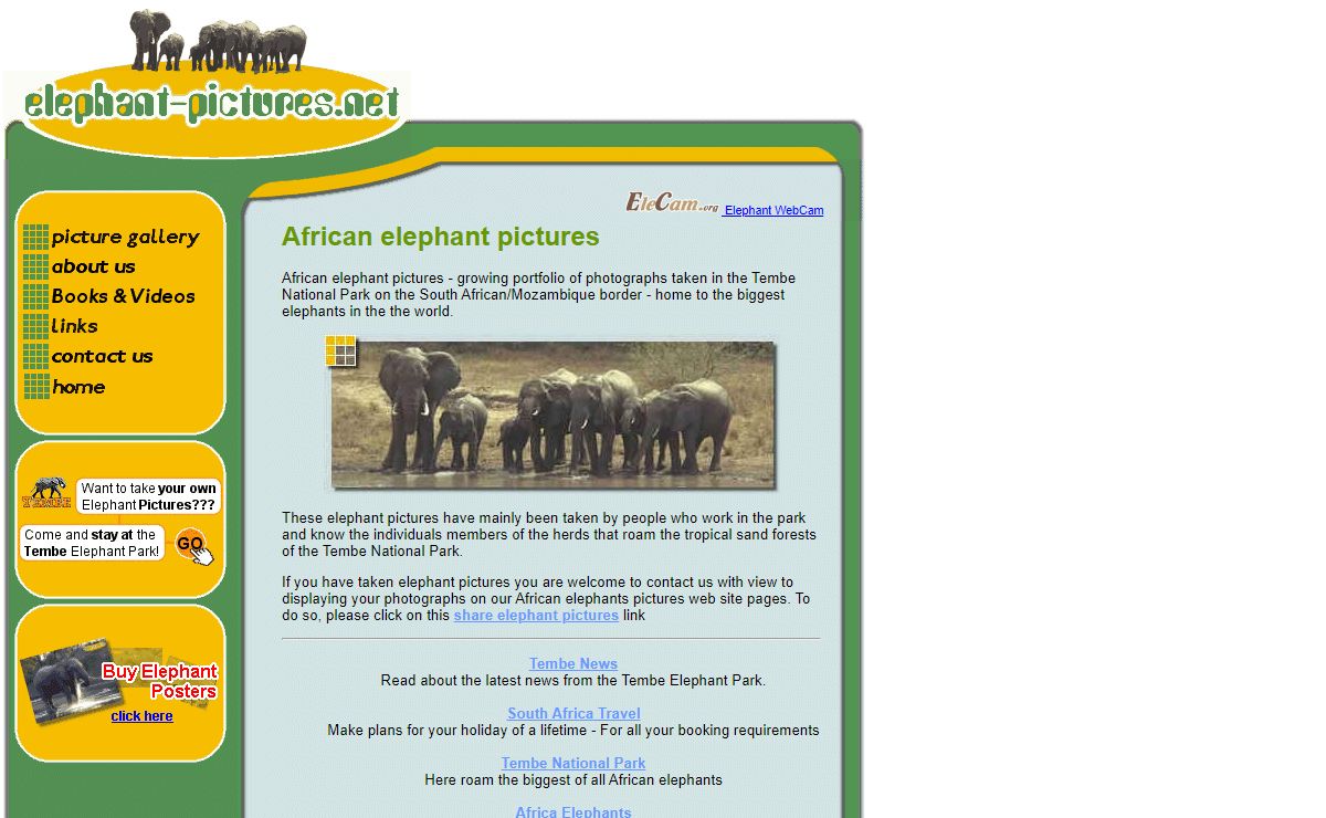 African elephant pictures - world's biggest elephants