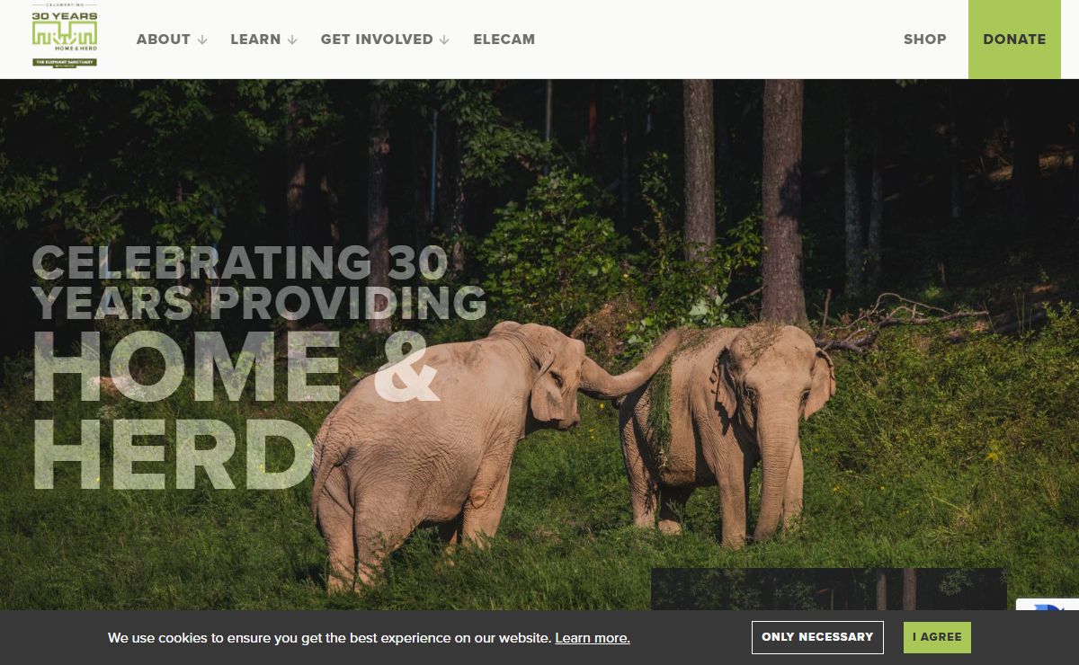 The Elephant Sanctuary in Tennessee