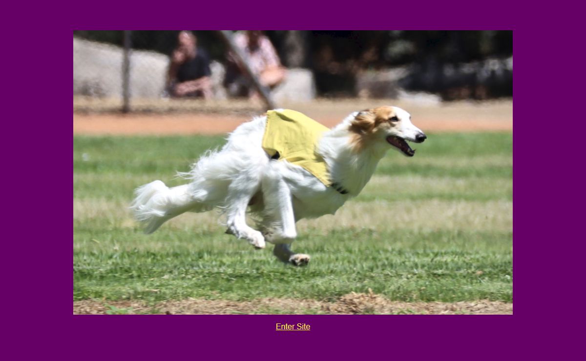 Elessar Hounds