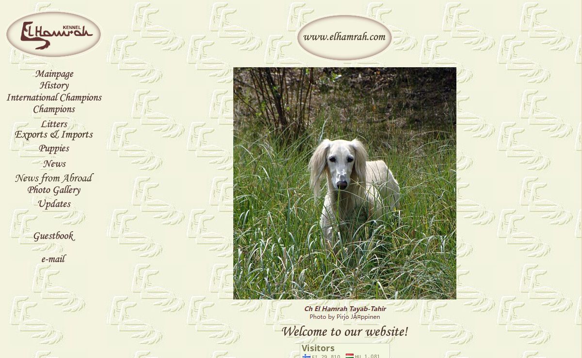 Saluki Kennel El Hamrah