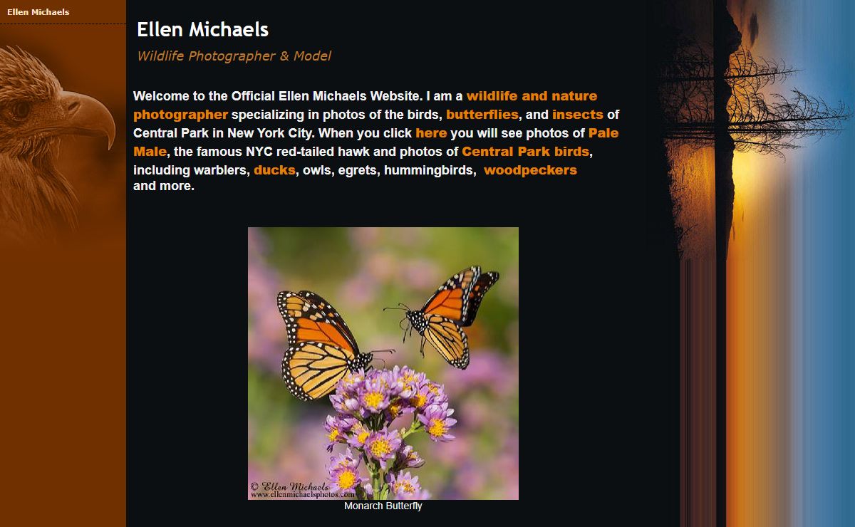 Ellen Michaels Official Web Site