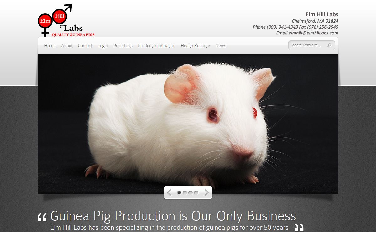 Elm Hill Labs | Quality Guinea Pigs