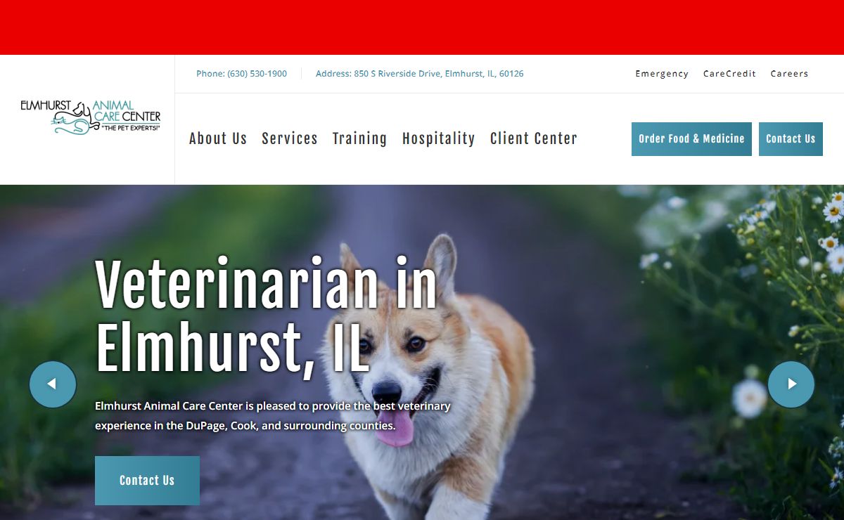 Veterinary Care in Elmhurst, Illinous | Elmhurst Animal Care Center