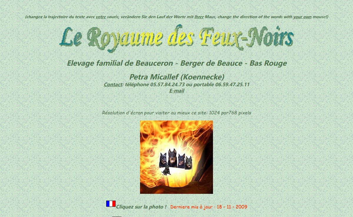 Elevage Beauceron, Berger de Beauce, Bas-Rouge - Le Royaume des Feux-Noirs