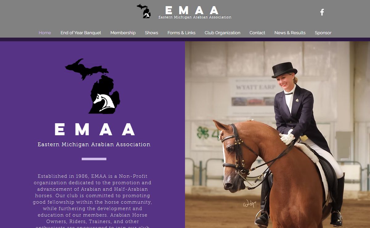 EMAA | Eastern Michigan Arabian Association