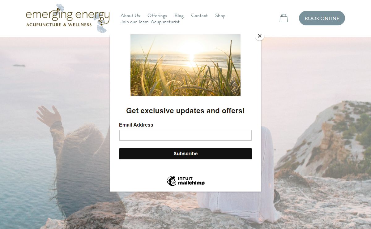 Emerging Energy Acupuncture & Wellness