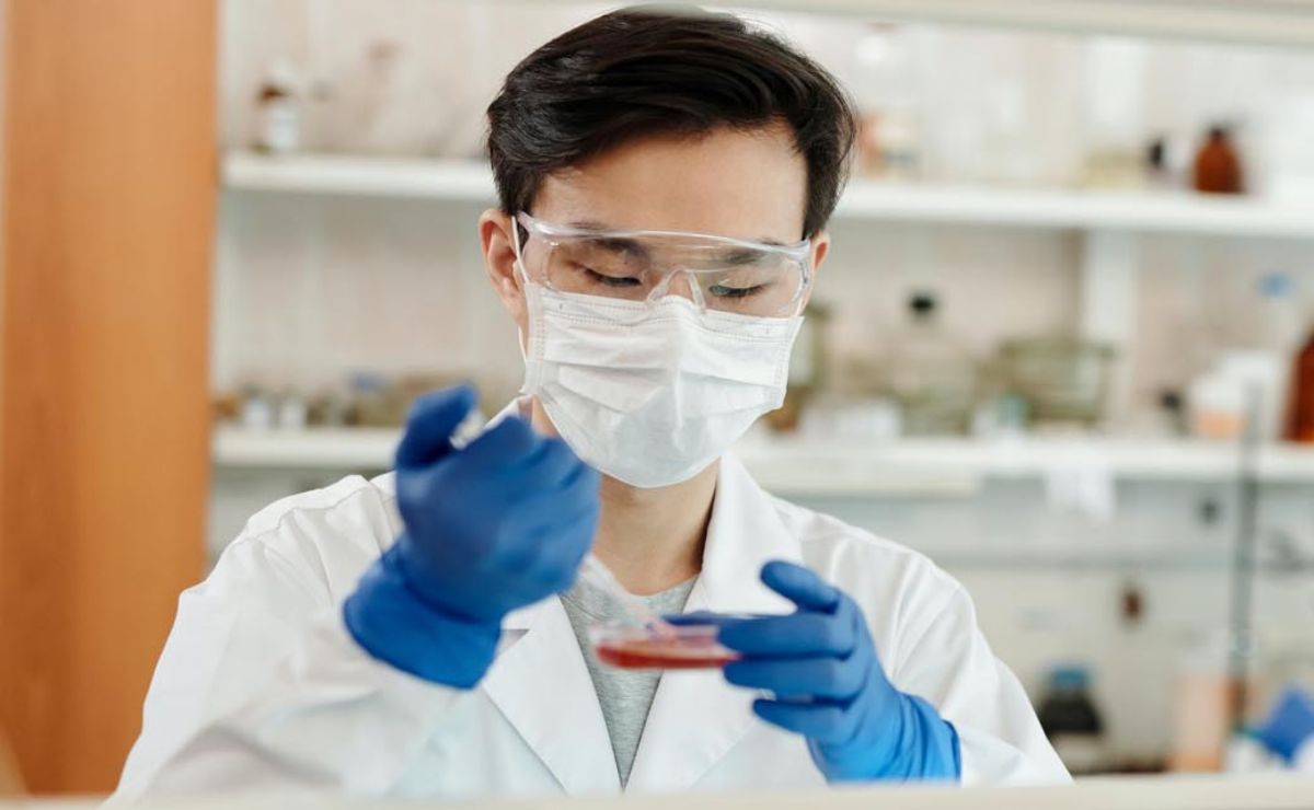 Why You Should Consider Functional Medicine In Fort Mill With A Holistic Doctor