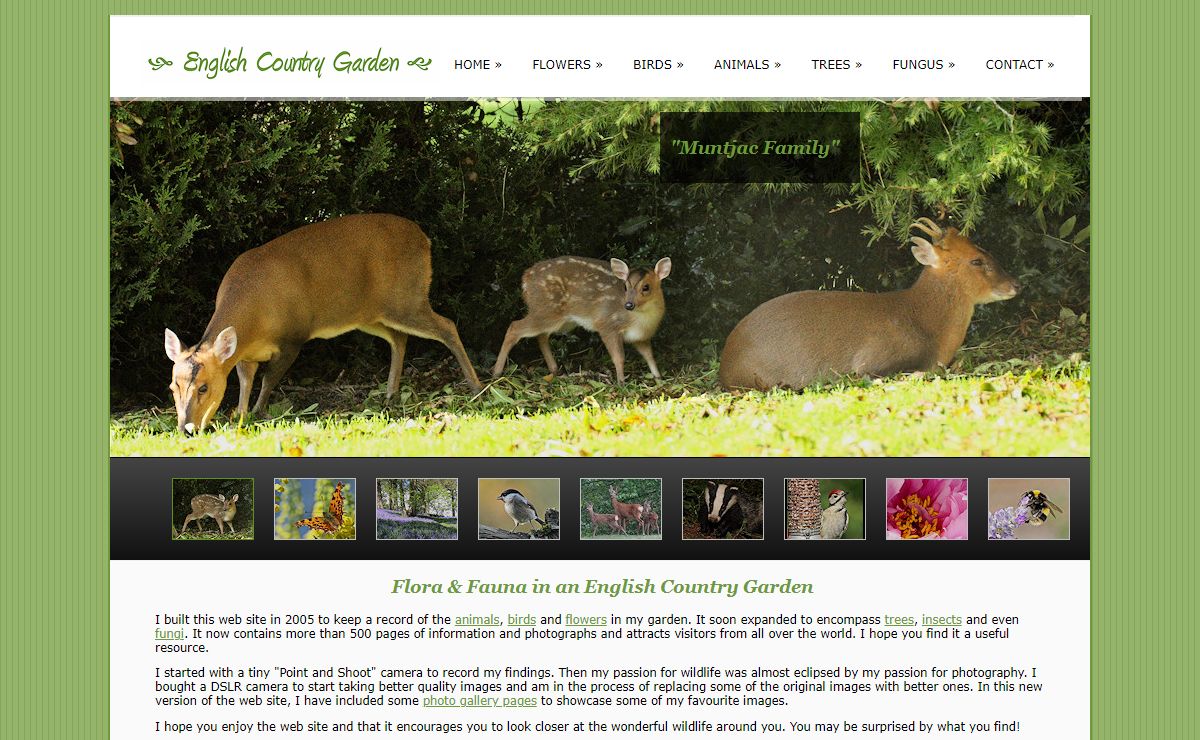 A catalogue of English birds, animals, flowers and trees found in an English Country Garden.