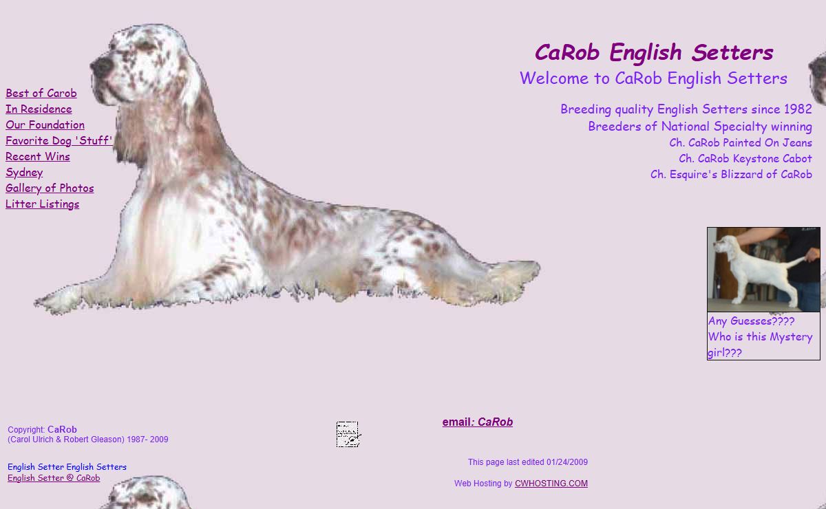 CaRob English Setters