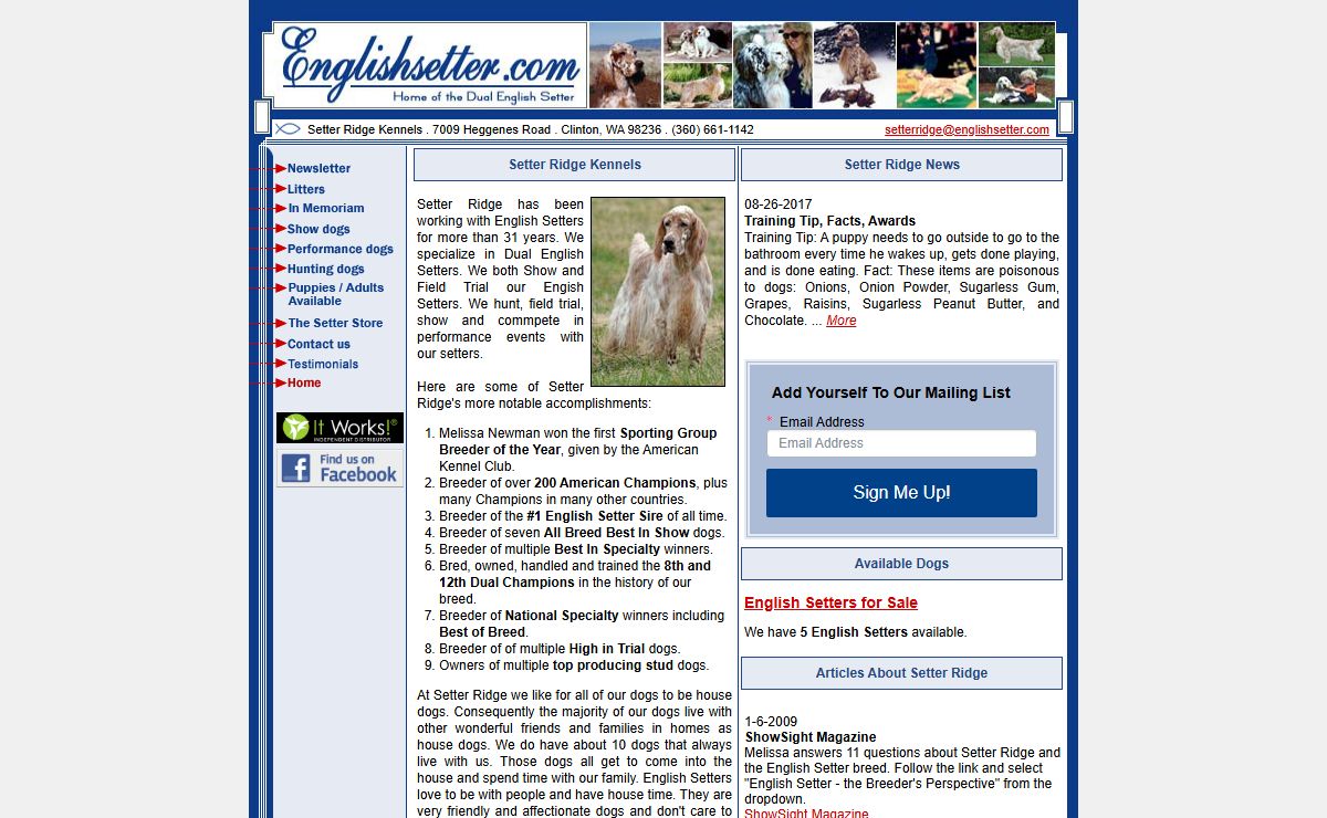 Breeder of over 200 American Champion English Setters | Setter Ridge Kennels