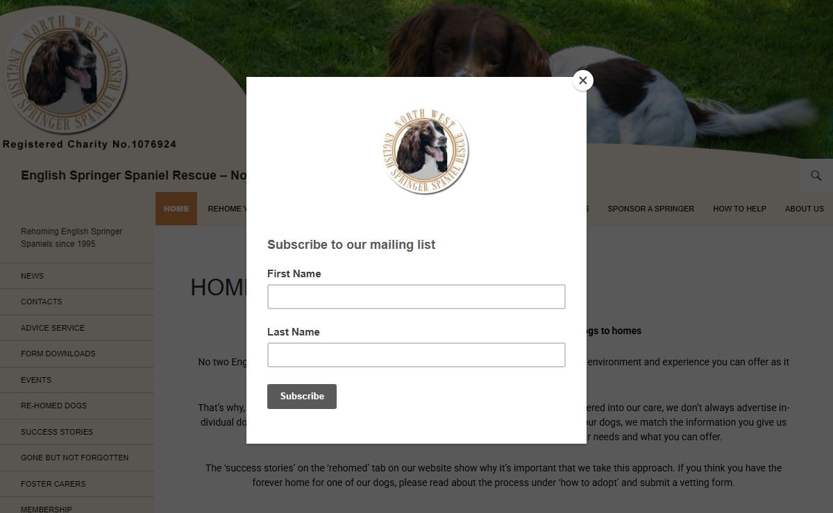 English Springer Spaniel Rescue - North West England -