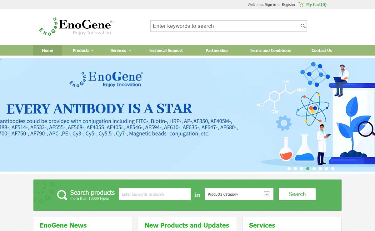 Antibody products, Antibody development, Antibody Contract Outsourcing,Antibody Services-EnoGene Biotech Co. Ltd