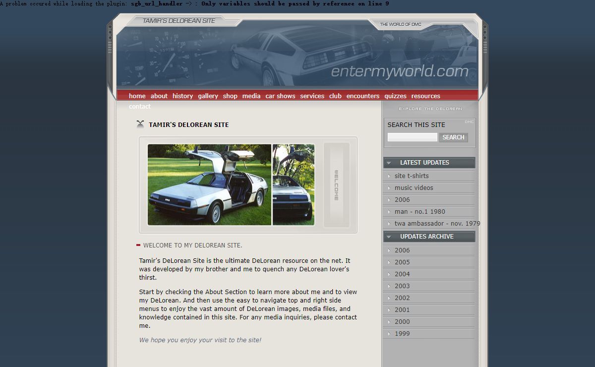 Tamir's DeLorean Site