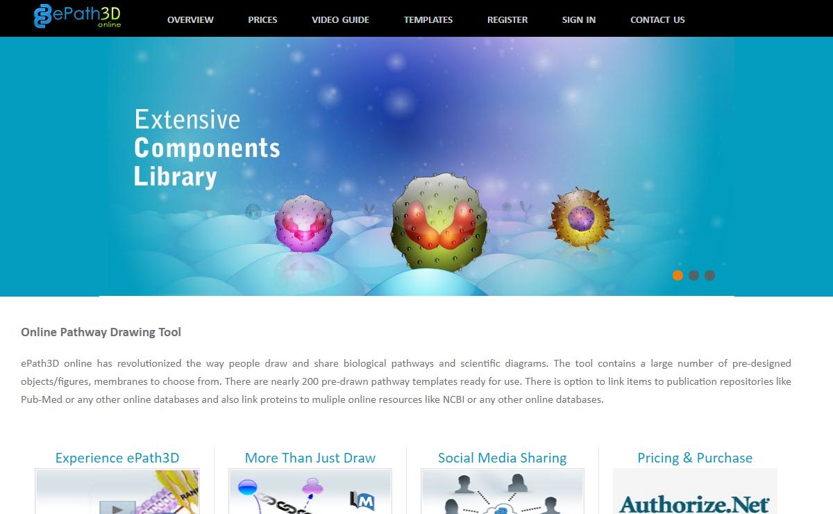 Design Pathways and Biological Graphics - ePath3D Online