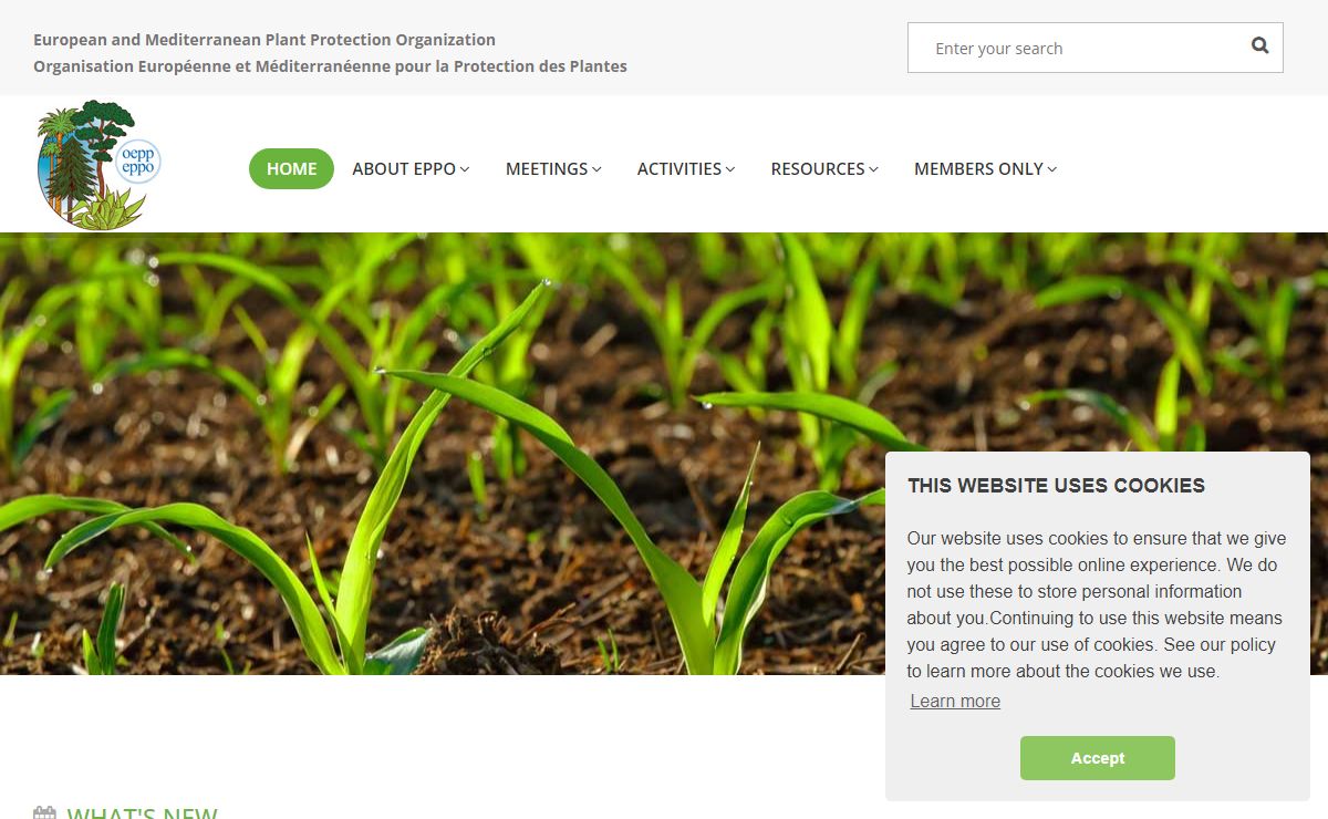 home page