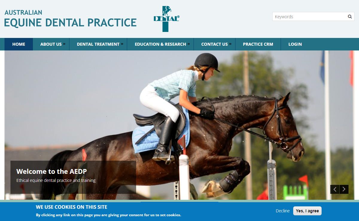AEDP | Australian Equine Dental Practice