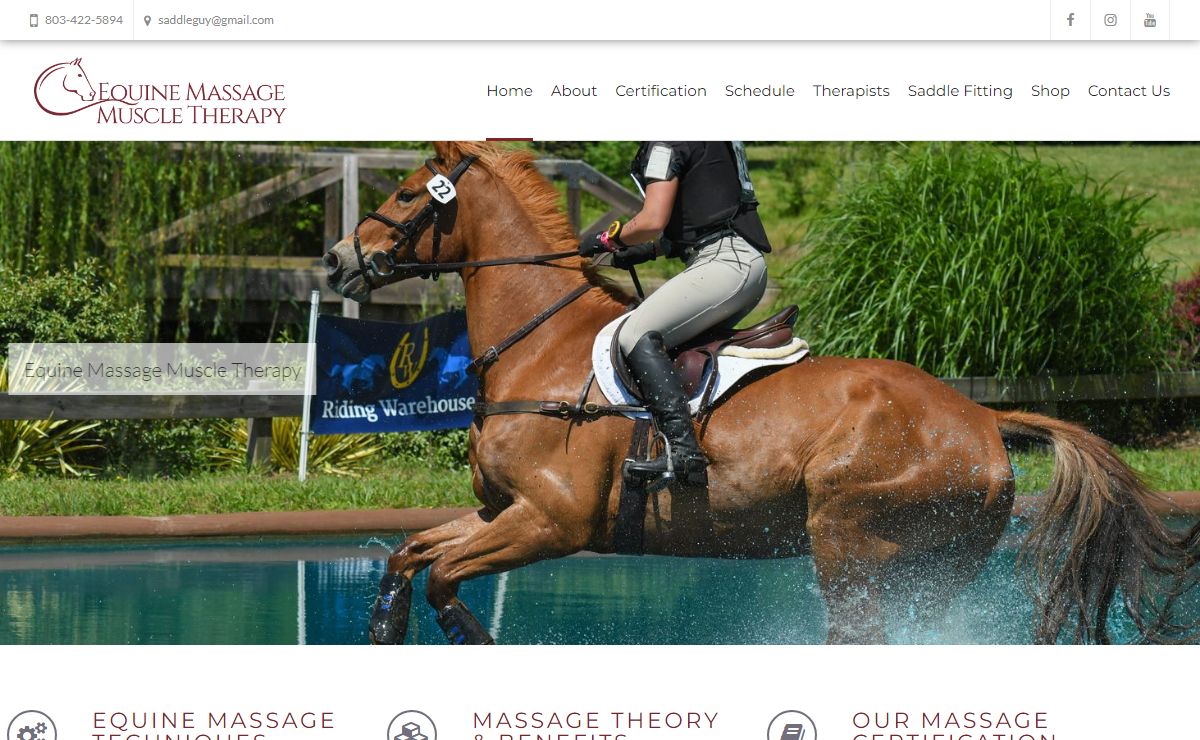 Equine Massage / Muscle Therapy - Equine Massage Muscle Therapy