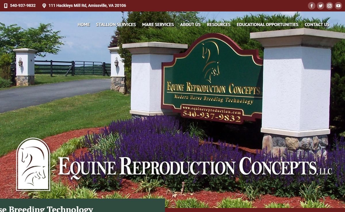Horse Breeding Services | Equine Reproduction Concepts | Amissville, VA