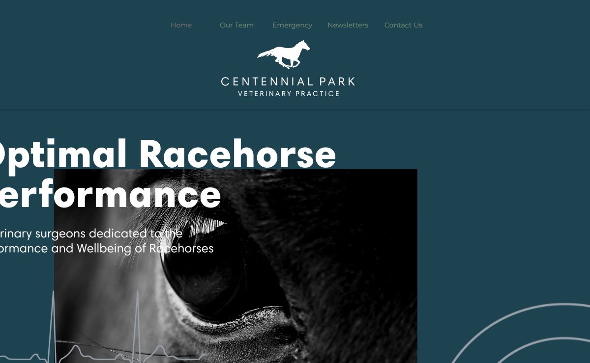Optimising Racehorse Performance | Centennial Park Veterinary Practice