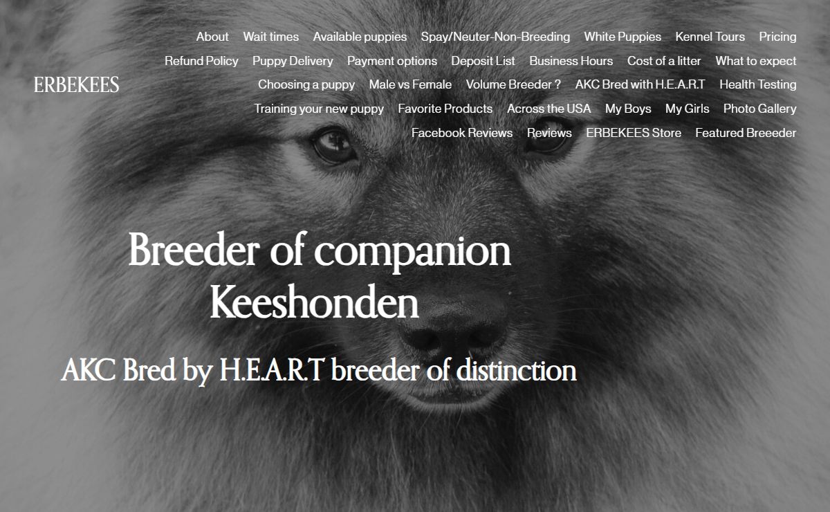ERBEKEES-KEESHONDEN | Keeshond Puppies