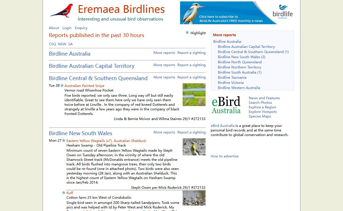 Eremaea Birdlines