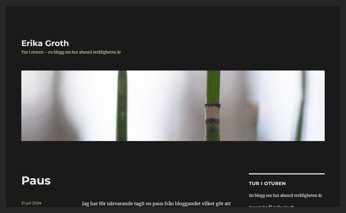Erika Groth – Tur i oturen – en blogg om hur absurd verkligheten är