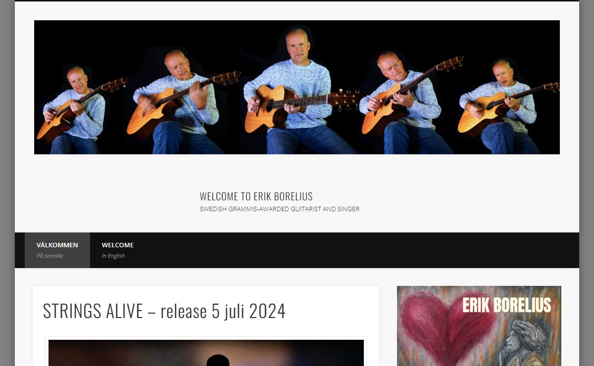 Erik Borelius – Guitar