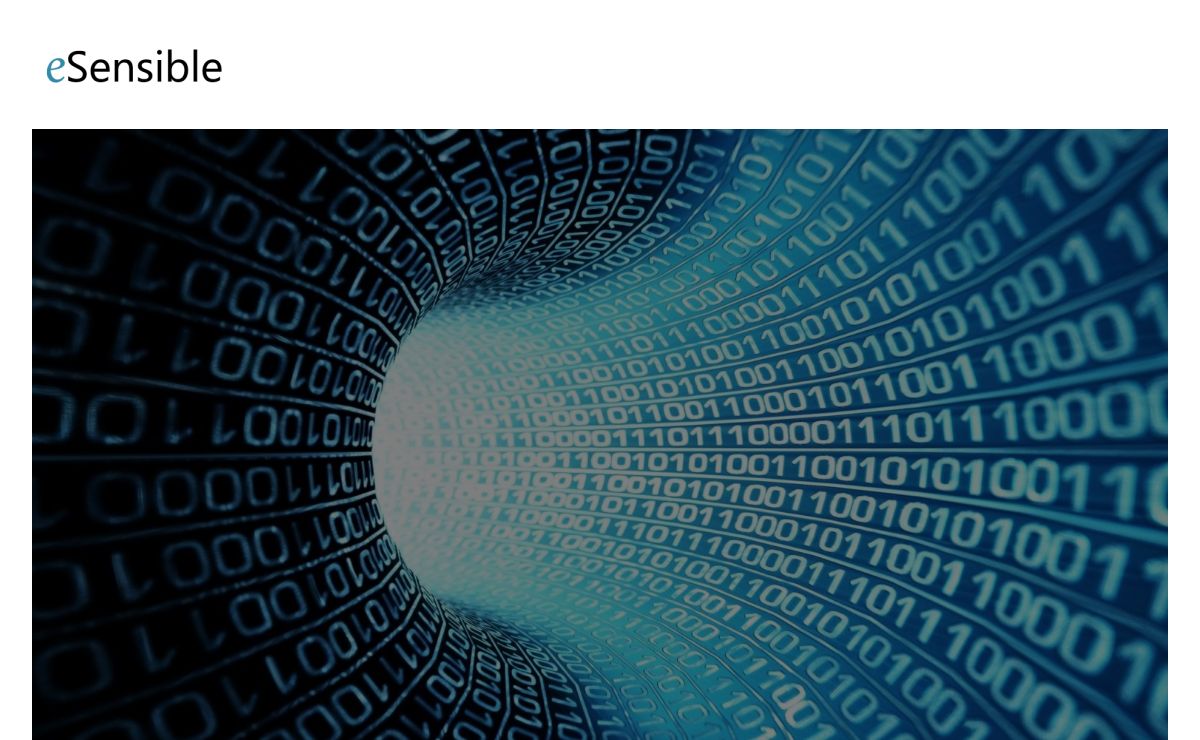 eSensible Internet Management